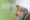 In-Home Senior Care